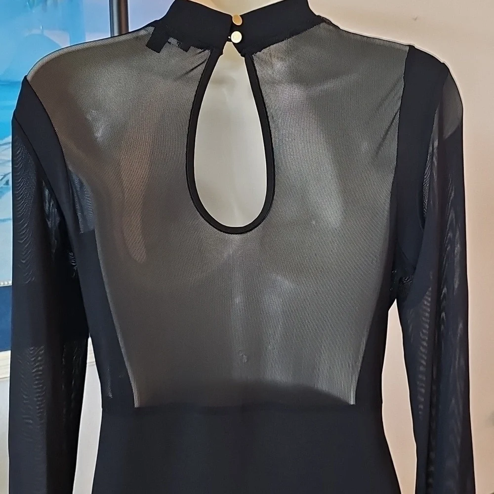 Iris Black Long Sleeve Dress - Picture 3 of 4